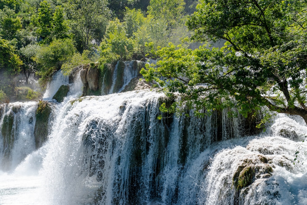 a group of people standing in front of a waterfall