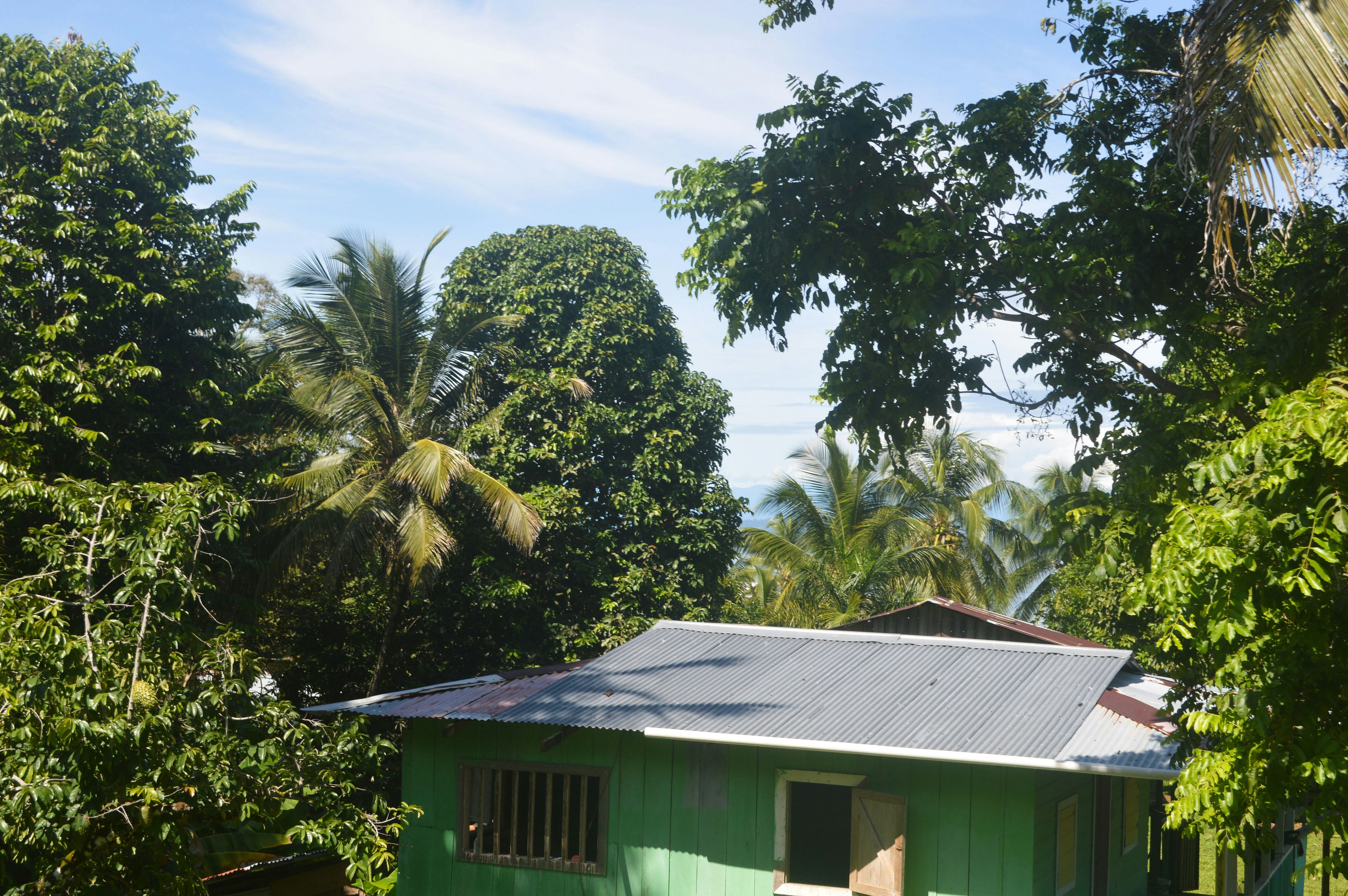 Green sustainable housing