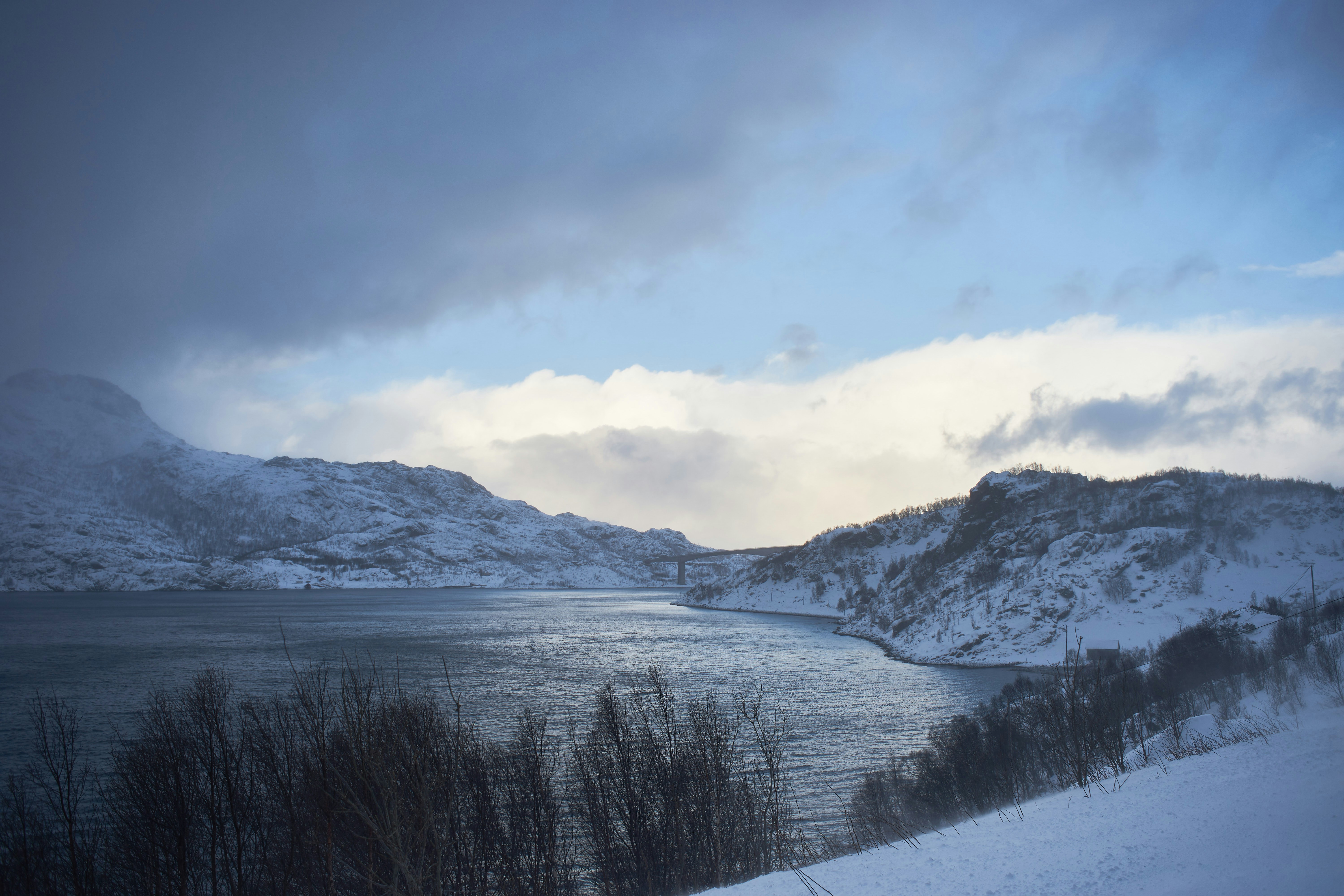 Photo by wolfgang_hasselmann