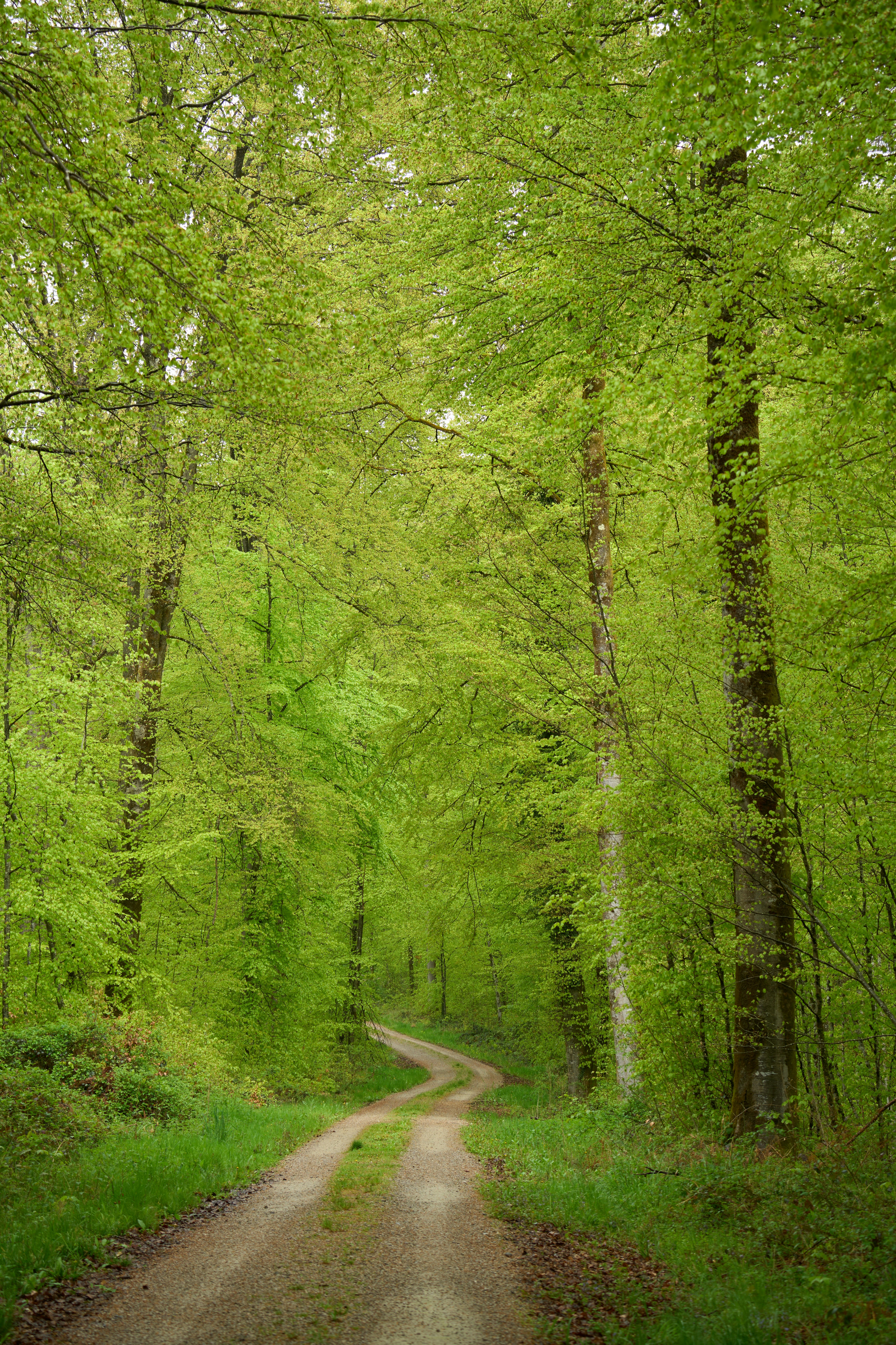 Photo by wolfgang_hasselmann