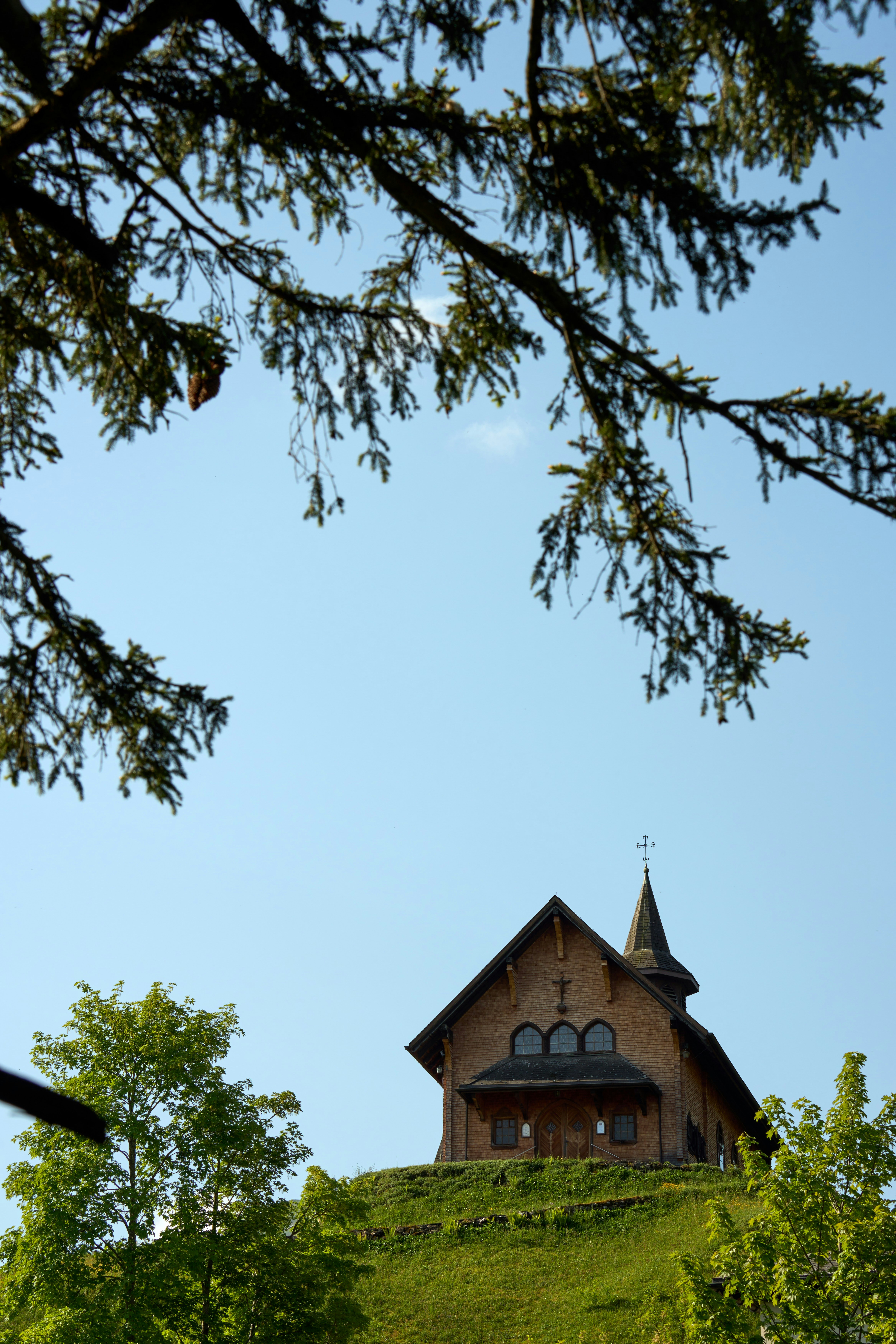 Photo by wolfgang_hasselmann