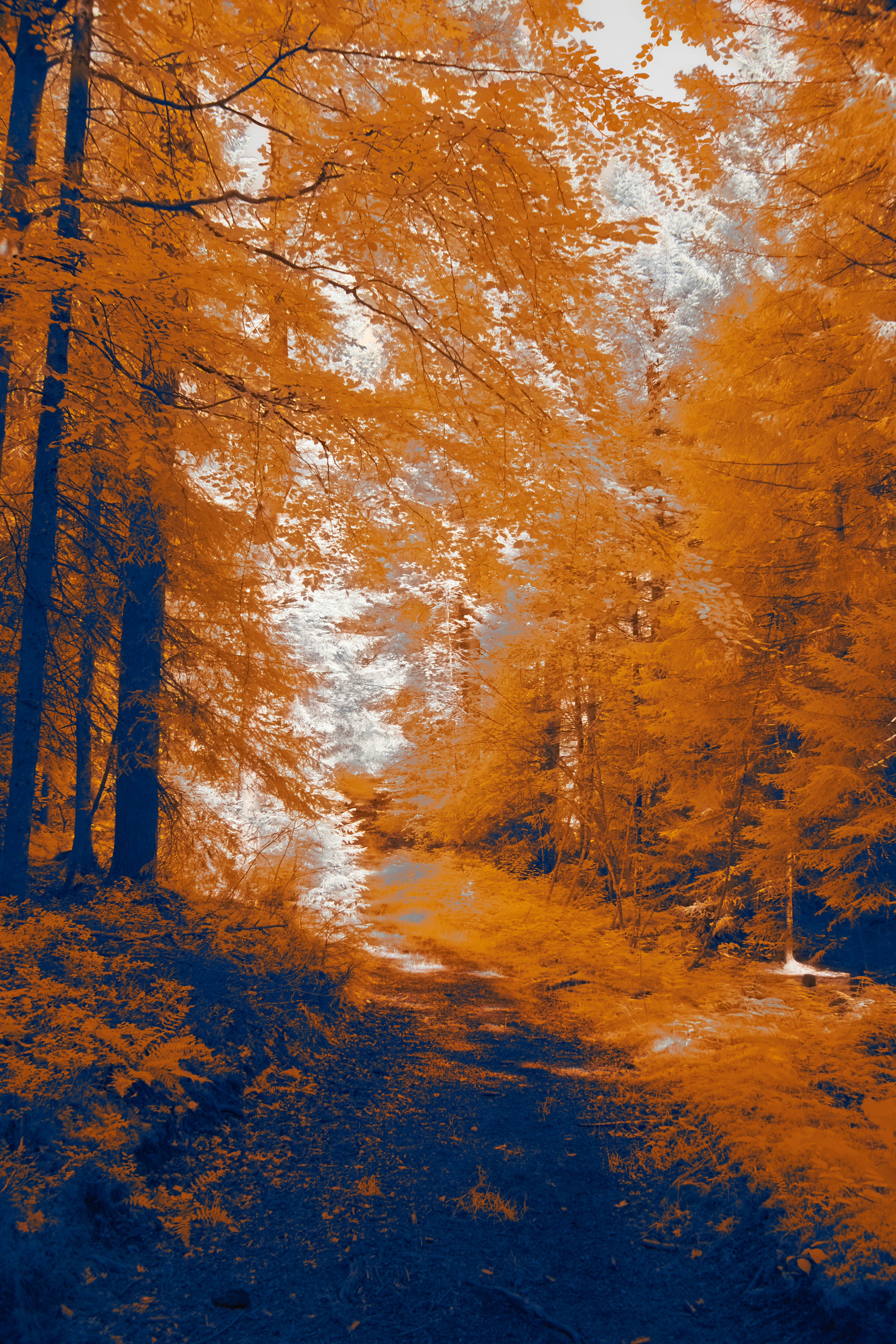 Photo by wolfgang_hasselmann