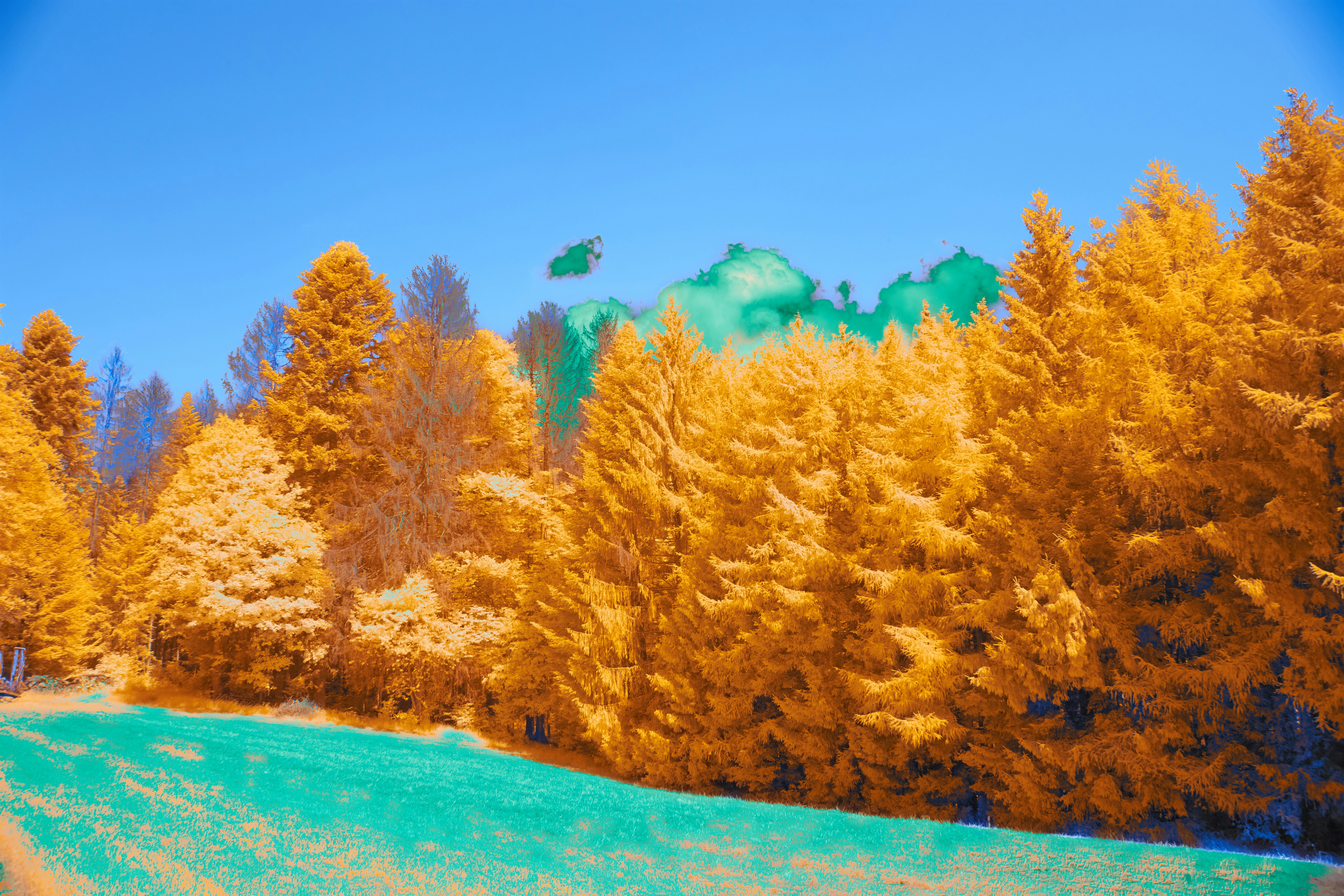 Roblox game landscape, wallpaper, Roblox Avatars & Worlds: Stunning HD Backgrounds 1