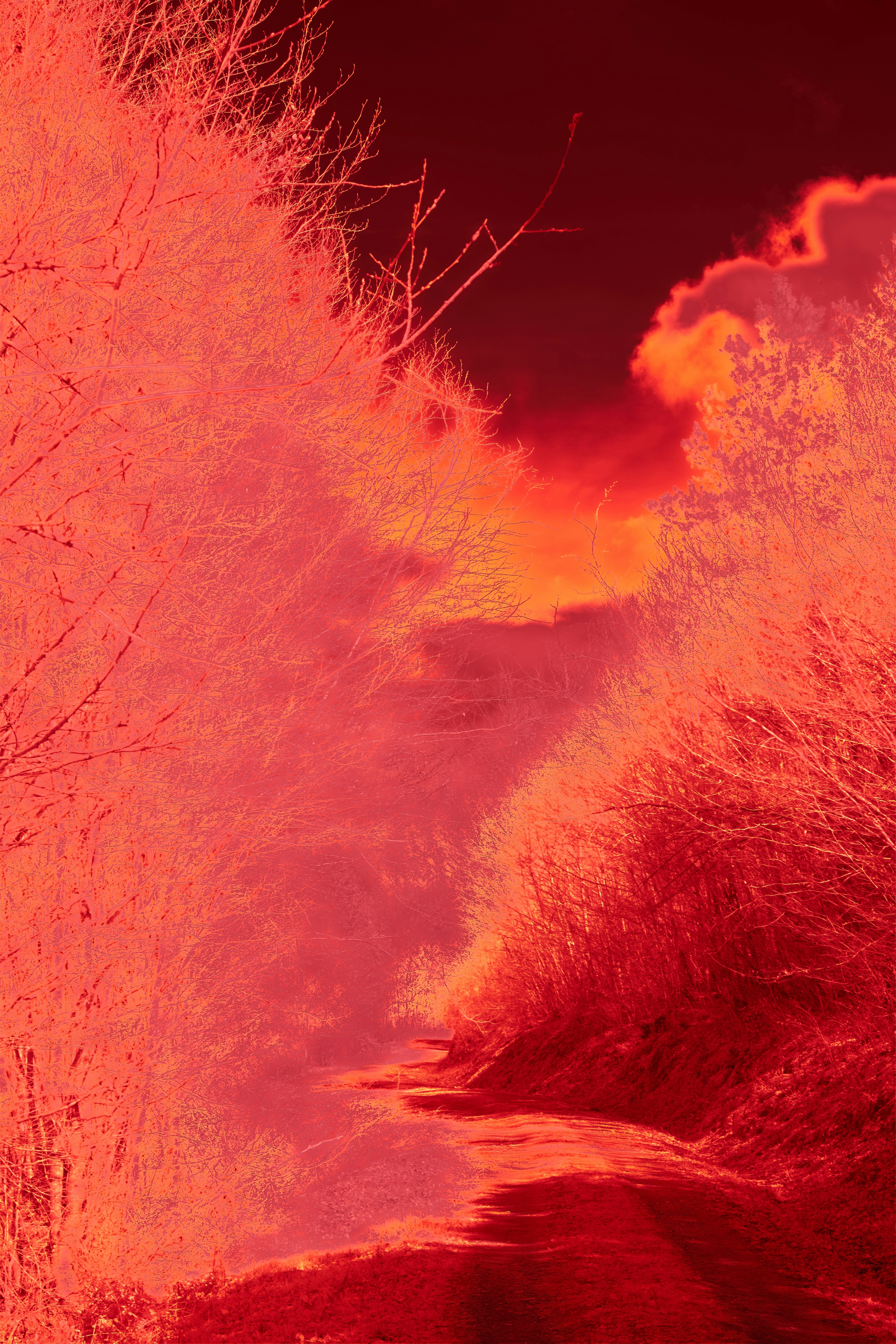 Photo by wolfgang_hasselmann