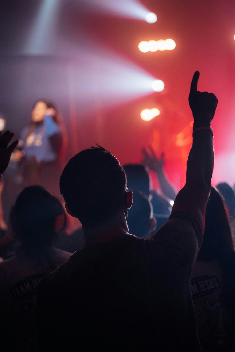 a crowd of people at a concert raising their hands