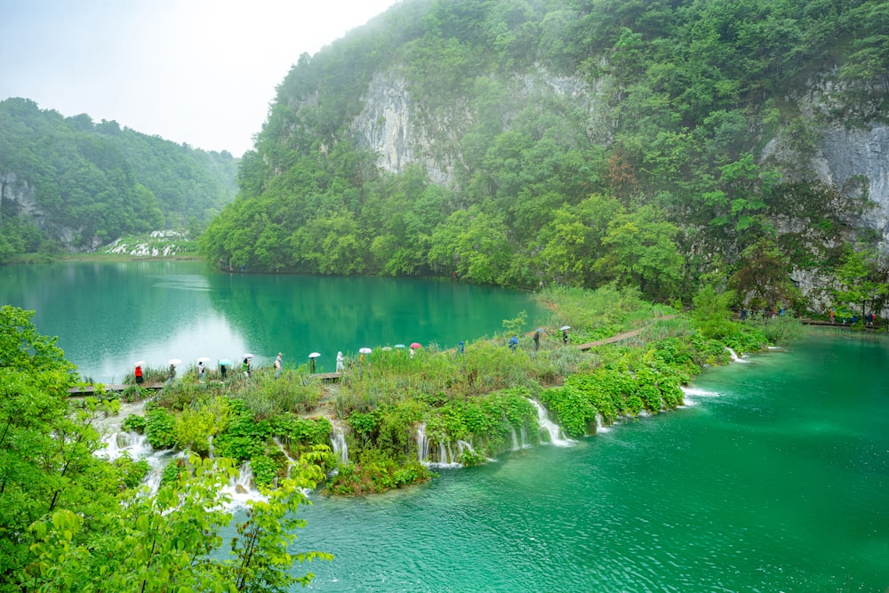 a large body of water surrounded by lush green trees