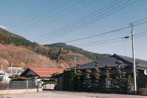 A serene rural landscape featuring traditional-style houses with tiled roofs set against a backdrop of forested hills. The scene is accentuated by bare trees typical of the season, with well-manicured bushes lining the front yard. Overhead, a network of power lines crosses the sky, contributing to the rustic charm.