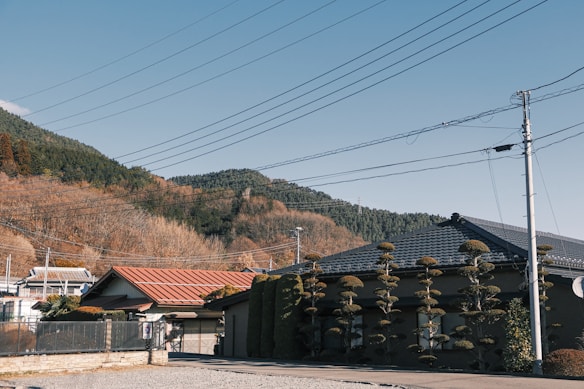A serene rural landscape featuring traditional-style houses with tiled roofs set against a backdrop of forested hills. The scene is accentuated by bare trees typical of the season, with well-manicured bushes lining the front yard. Overhead, a network of power lines crosses the sky, contributing to the rustic charm.
