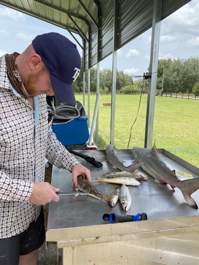 A person wearing a cap and patterned shirt is preparing fish on a metal table under an open shelter. Various fish, including what appears to be a small shark, are laid out on the table. In the background, there is a grassy field with scattered trees and a fence line.