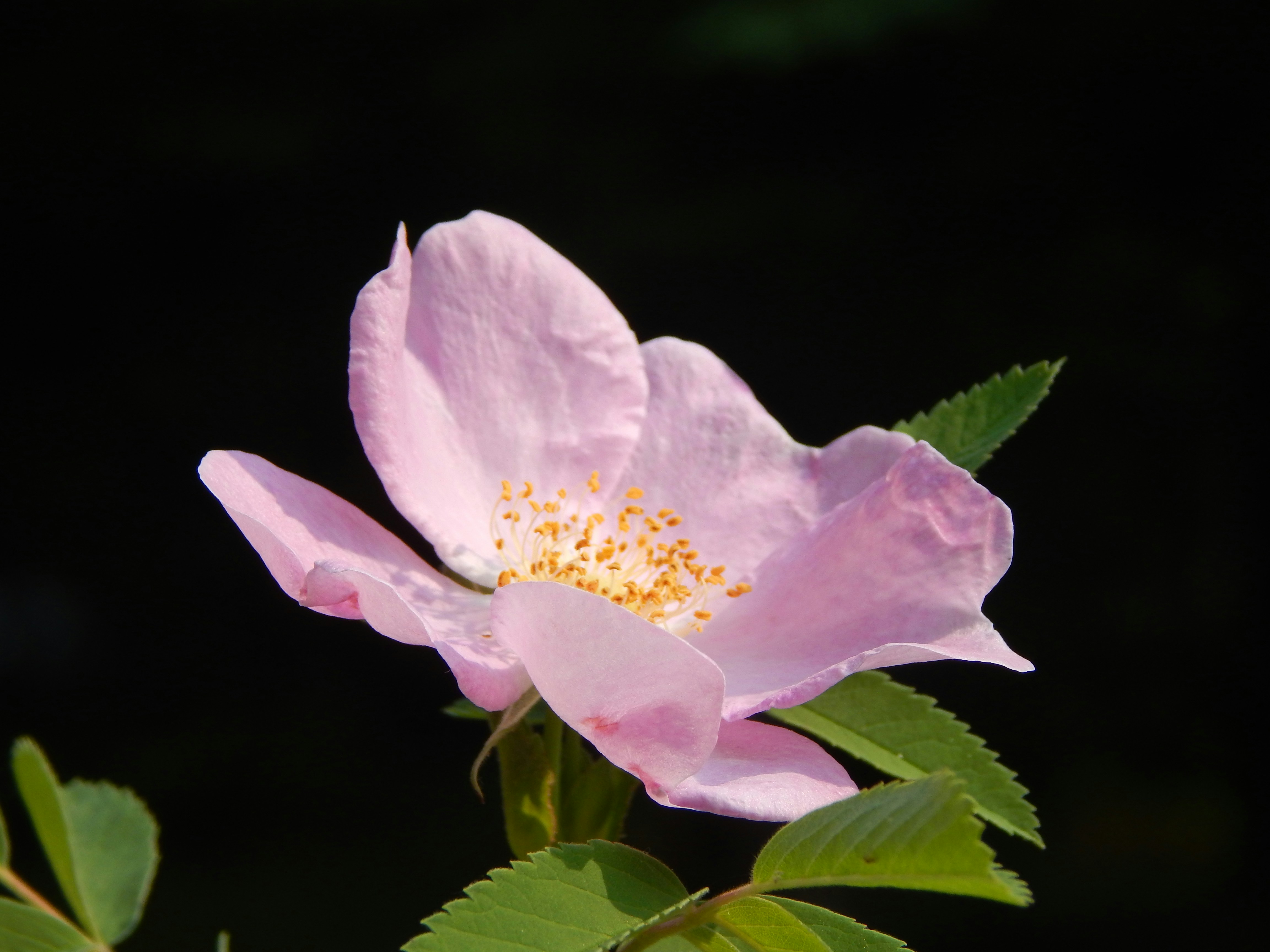 Photo by scarlettweiss