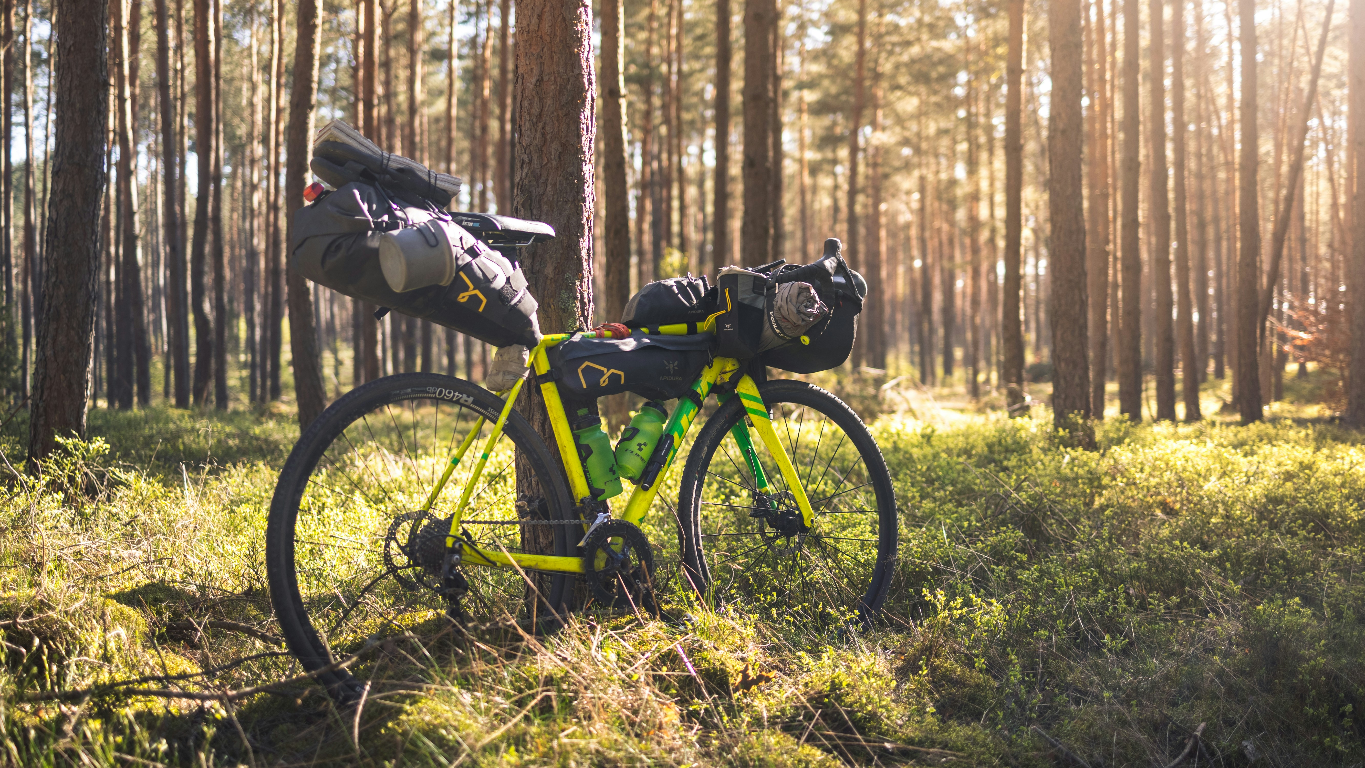 a yellow bicycle parked in the middle of a forest