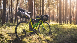 A bicycle equipped with camping gear is parked in a sunlit forest. The surrounding area is filled with tall, straight trees and lush green grass. Sunlight filters through the tree branches, casting dappled shadows on the ground.