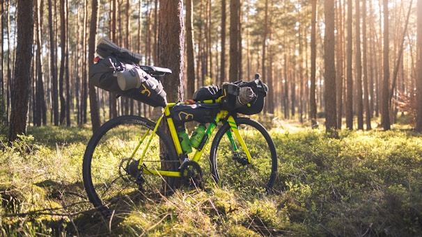 A bicycle equipped with camping gear is parked in a sunlit forest. The surrounding area is filled with tall, straight trees and lush green grass. Sunlight filters through the tree branches, casting dappled shadows on the ground.
