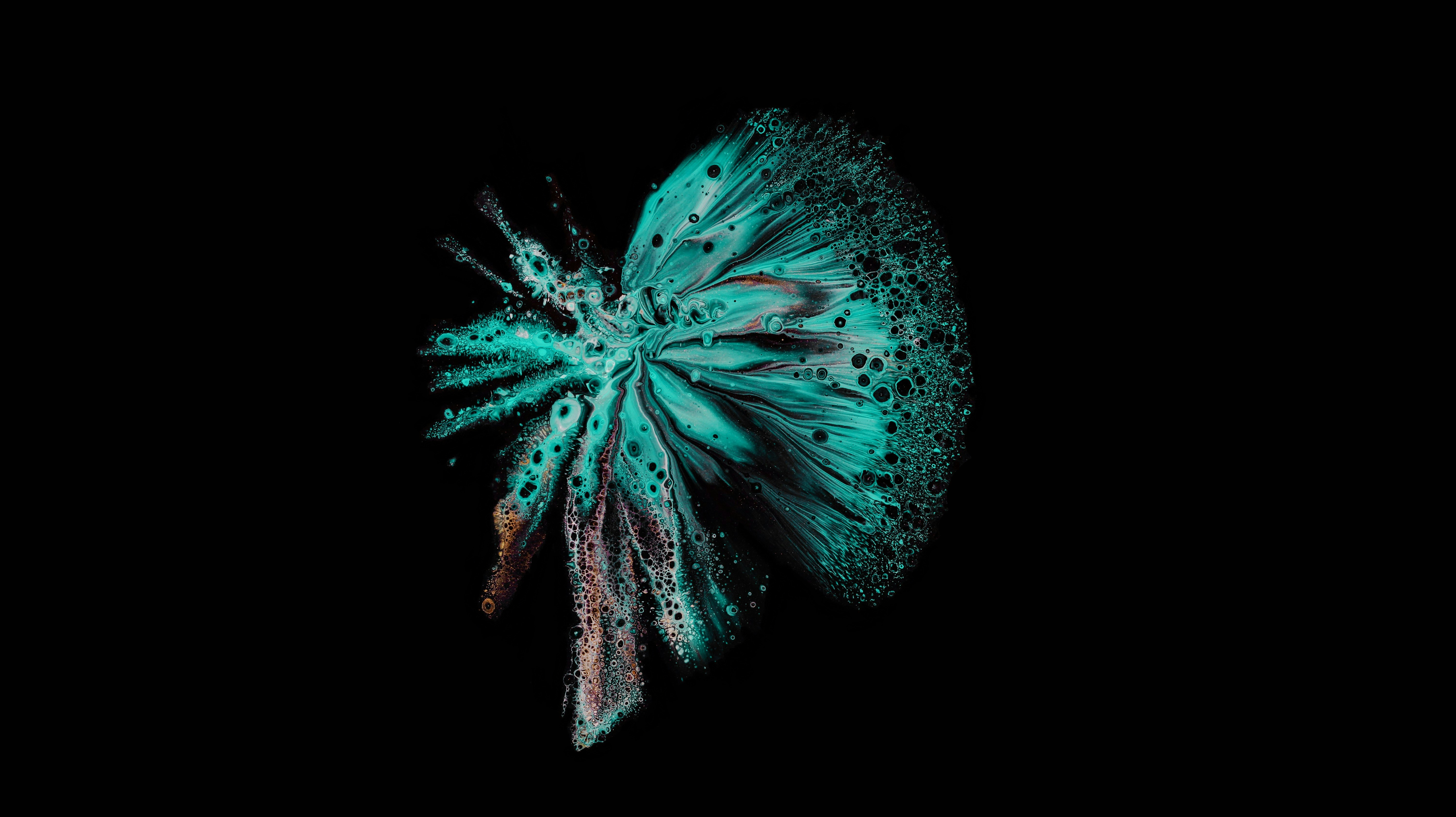 Photo by susan_wilkinson