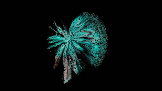 A vibrant splash of teal paint with a dynamic pattern resembling a butterfly wing or an abstract flower against a solid black background. The texture features both smooth and bubbly elements, creating an organic and fluid feel.