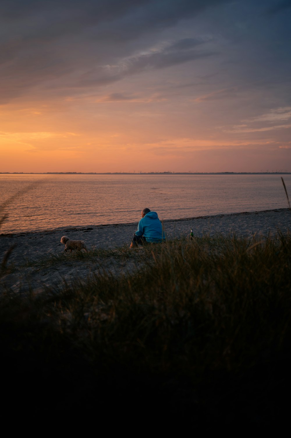 une personne assise sur une plage à côté d’un chien