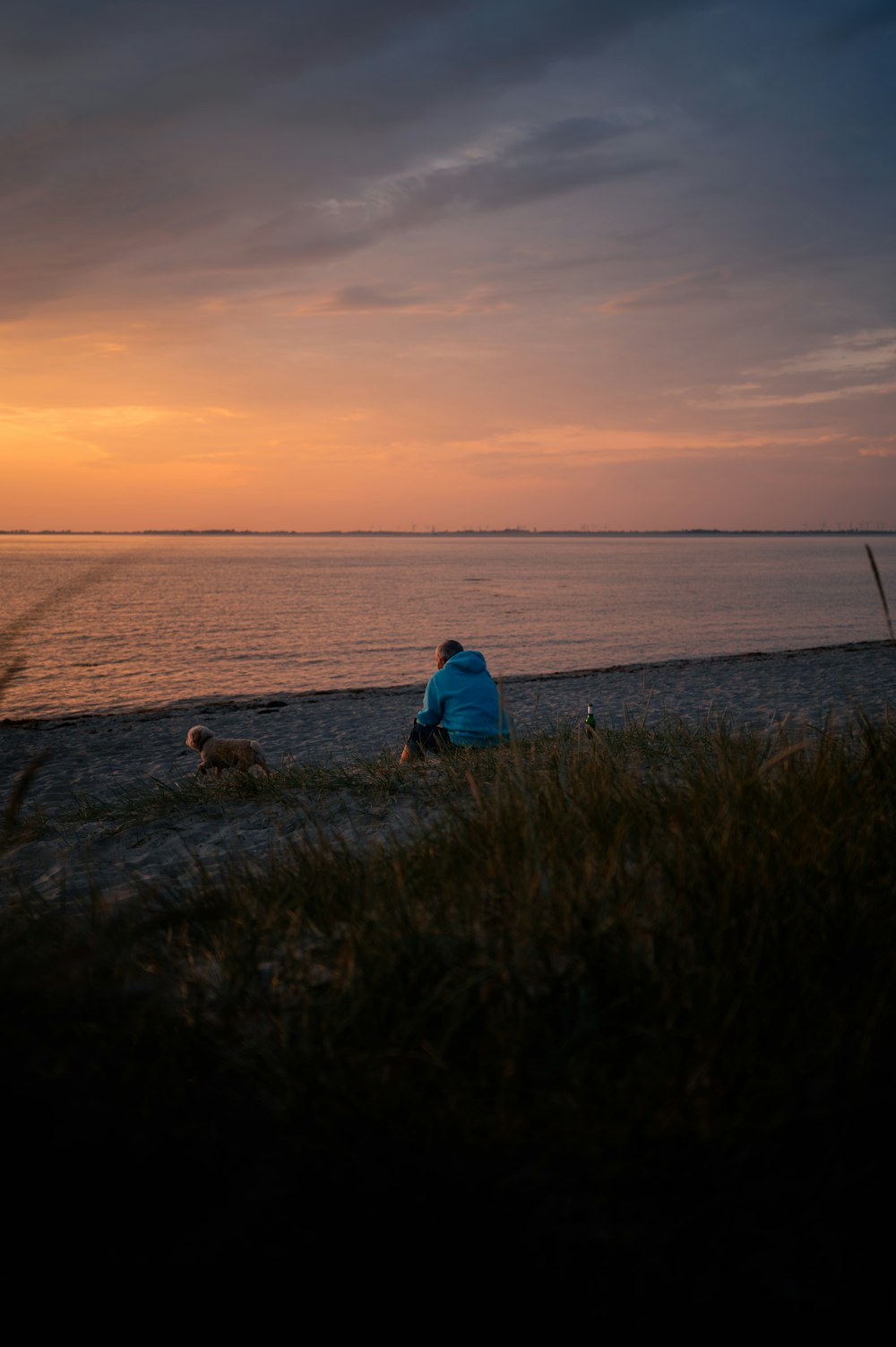 a person sitting on a beach next to a dog