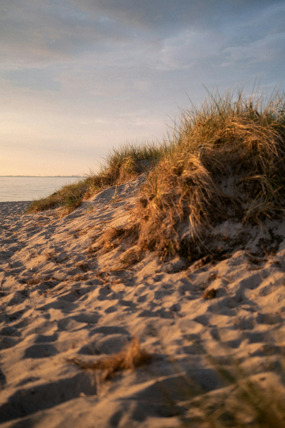 a surfboard sitting on top of a sandy beach