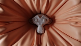 A stylized monkey face with large round eyes and a small snout is positioned at the center of a backdrop that resembles draped brown fabric. The texture of the fabric converges towards the center, creating a radial appearance around the monkey face.