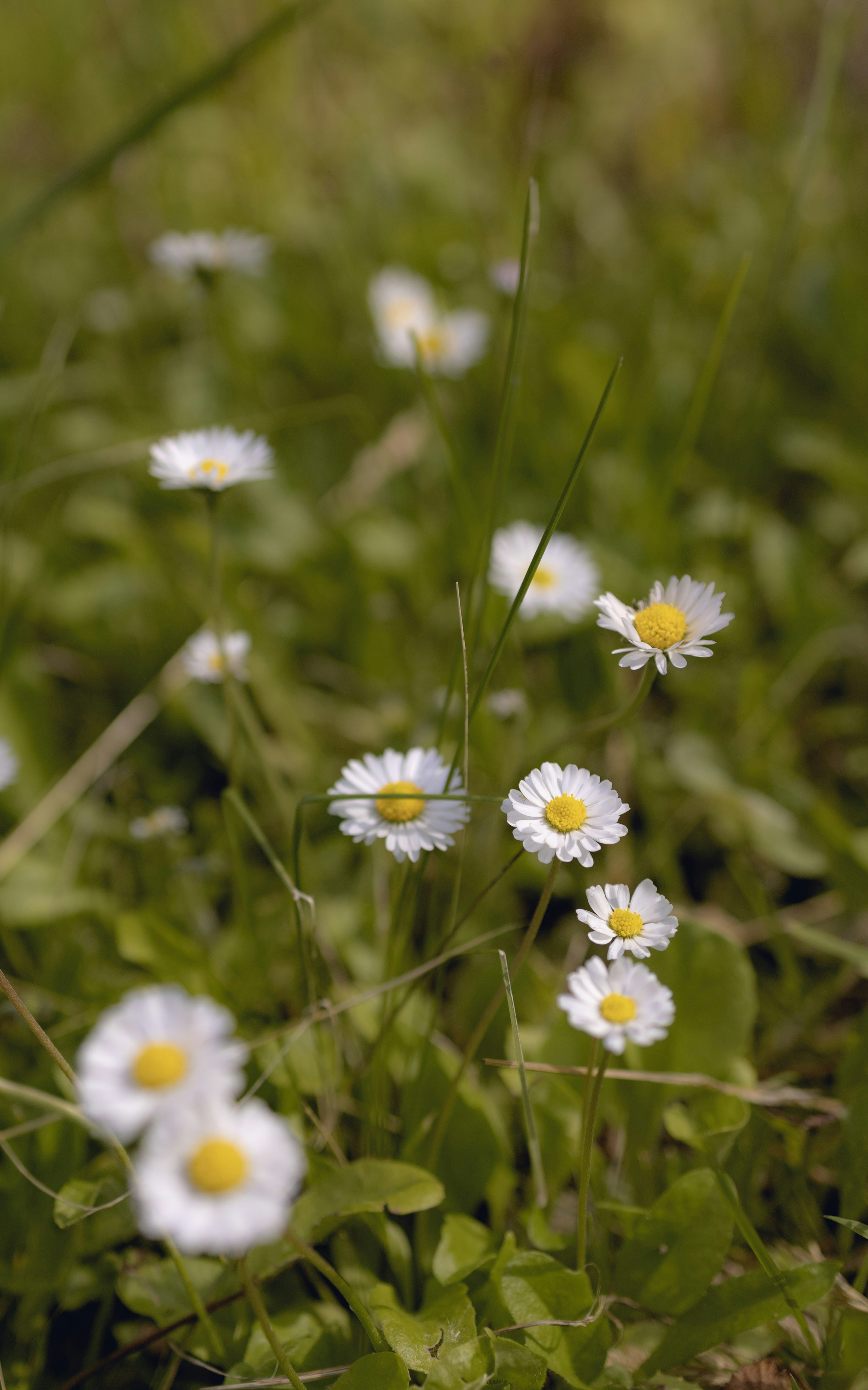 Photo by ivanenko_pictures