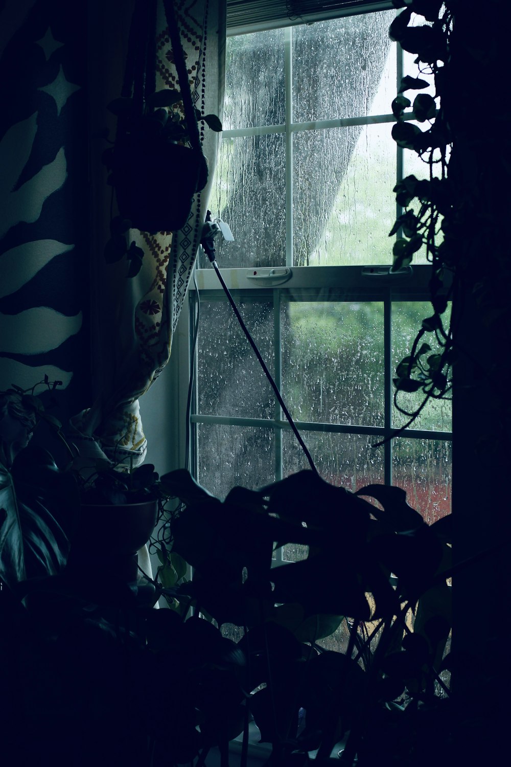 a window in a dark room with a plant in front of it