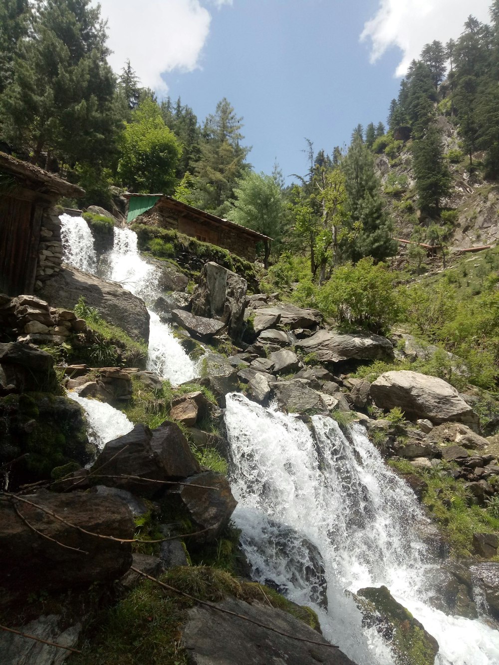 Una pequeña cascada en medio de un bosque