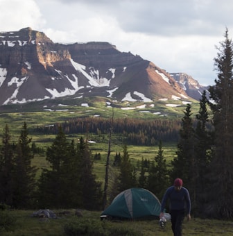 A scenic outdoor landscape with a lush green valley surrounded by tall pine trees. In the background, majestic mountains with patches of snow rise under a partially cloudy sky. In the foreground, a person wearing a red hat is walking near a green camping tent, creating a serene and peaceful camping scene.