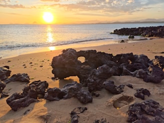 A serene sunset casting golden hues over a quiet Hawaiian coastline with volcanic rocks.