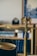 A golden balance scale with an ornate eagle decoration on top is partially visible against a blurred background of bookshelves. The background includes hints of books and a framed picture.