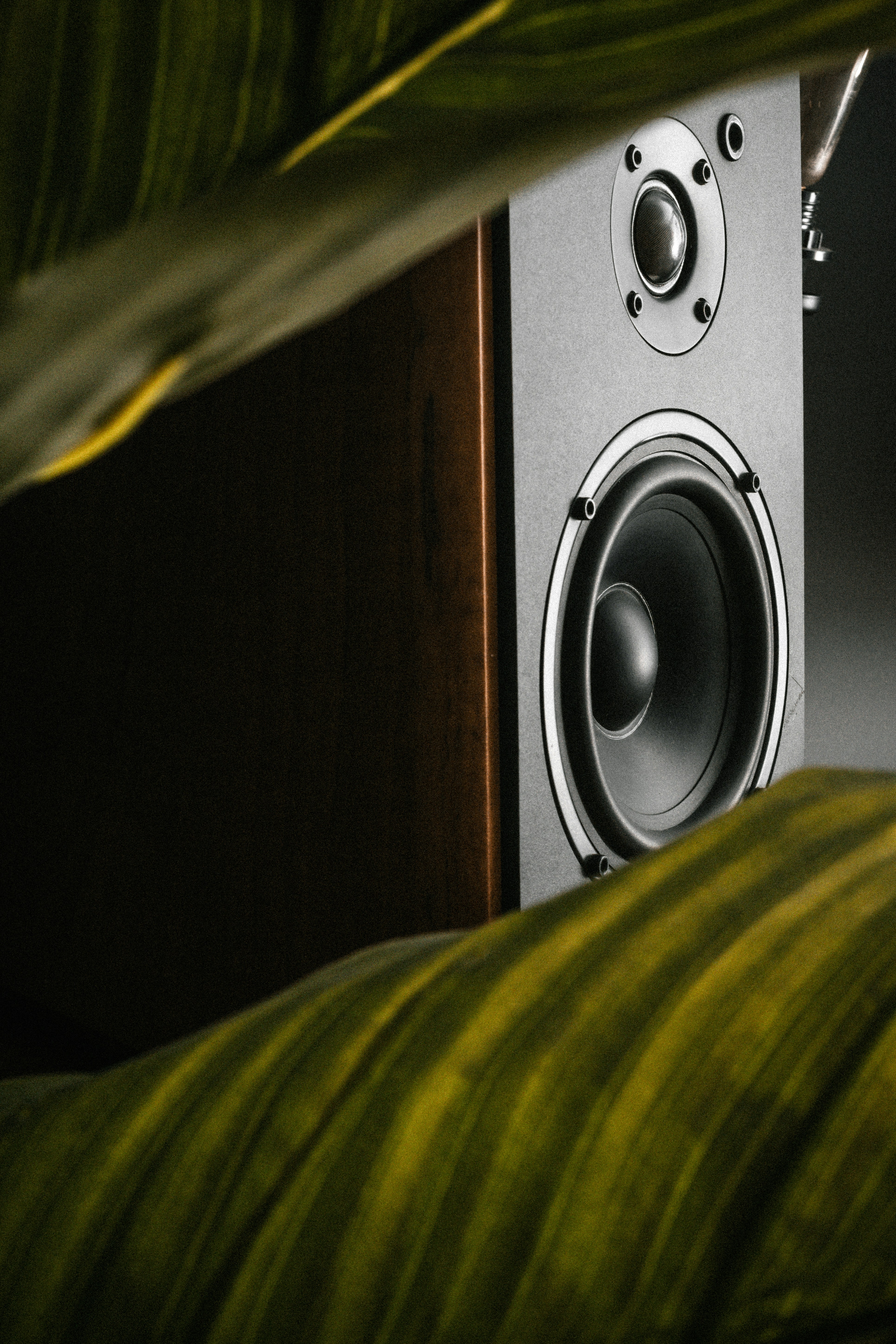 Un primer plano de un altavoz cerca de una planta