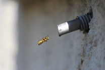 A wasp is captured in mid-flight near a damaged metal pipe protruding from a textured wall. The insect's yellow and black stripes are vibrant against the muted background.