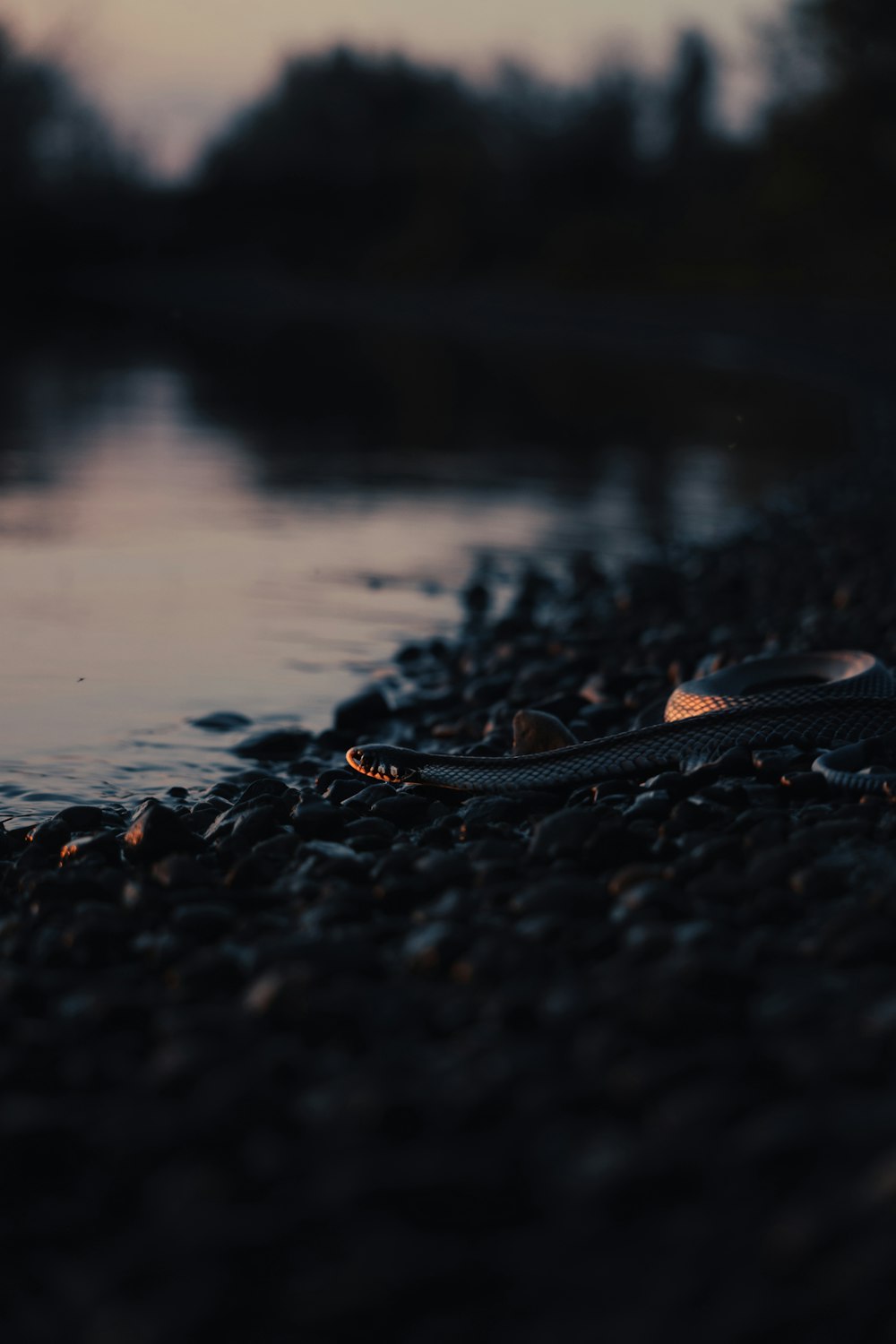 a pair of shoes sitting on the shore of a lake