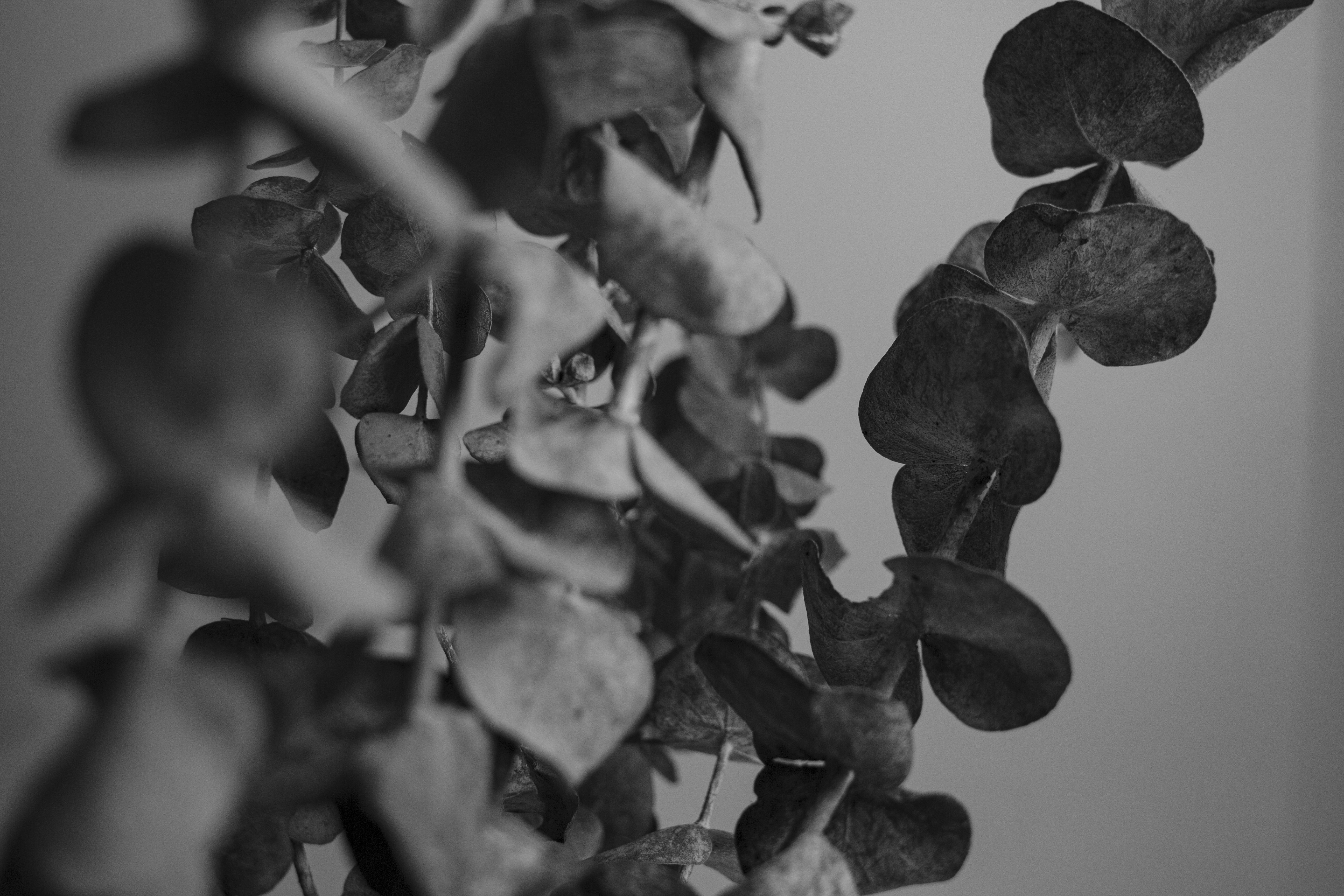 Photo by njoyprojets