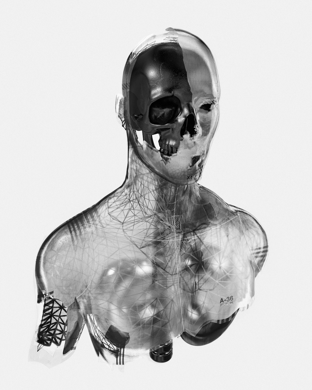 uma foto em preto e branco de um corpo humano