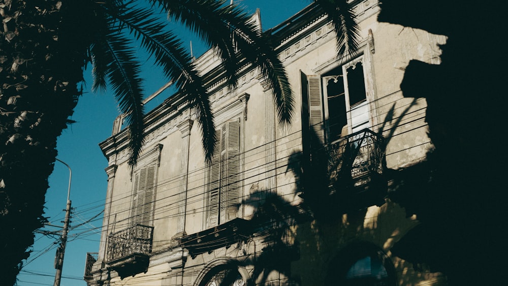 a building with a palm tree in front of it