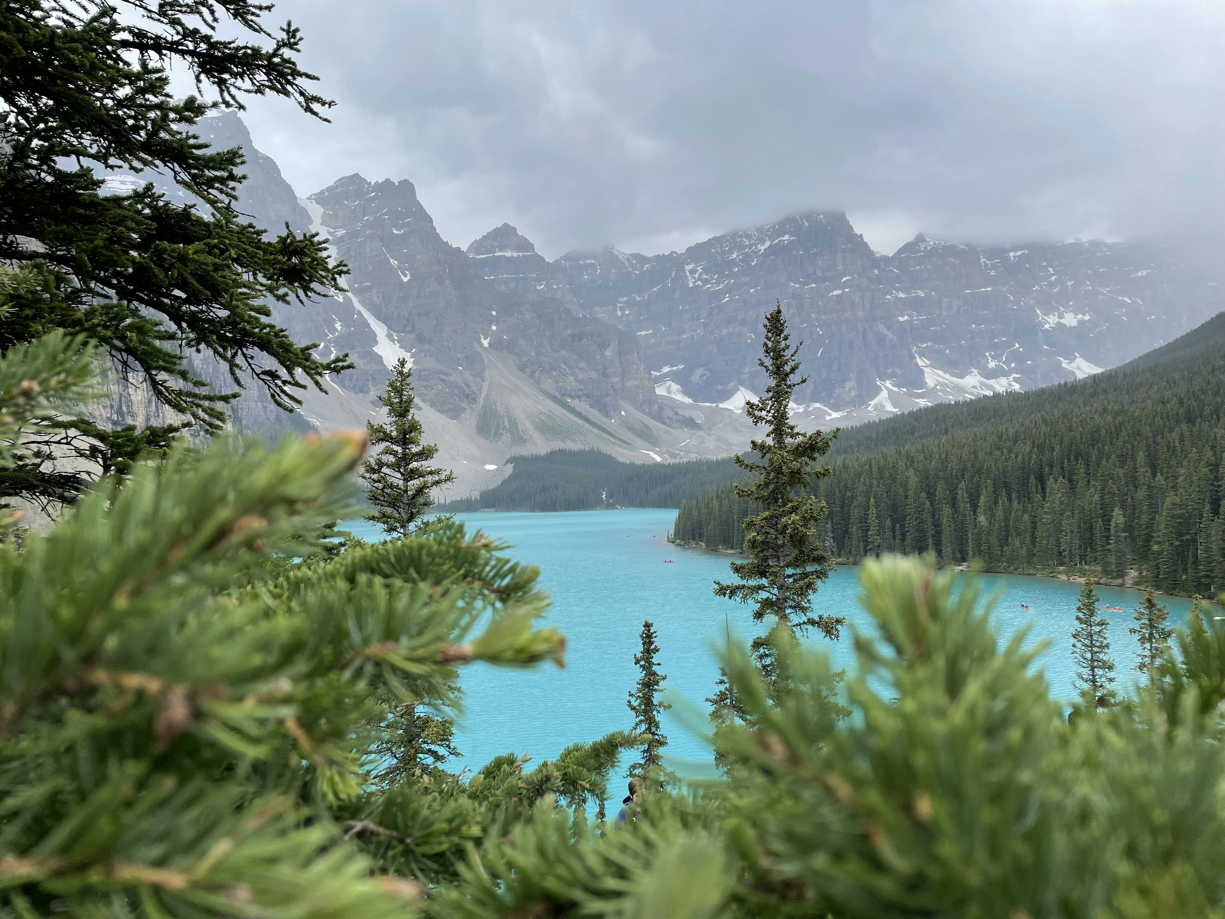 Photo by lucacoburn_