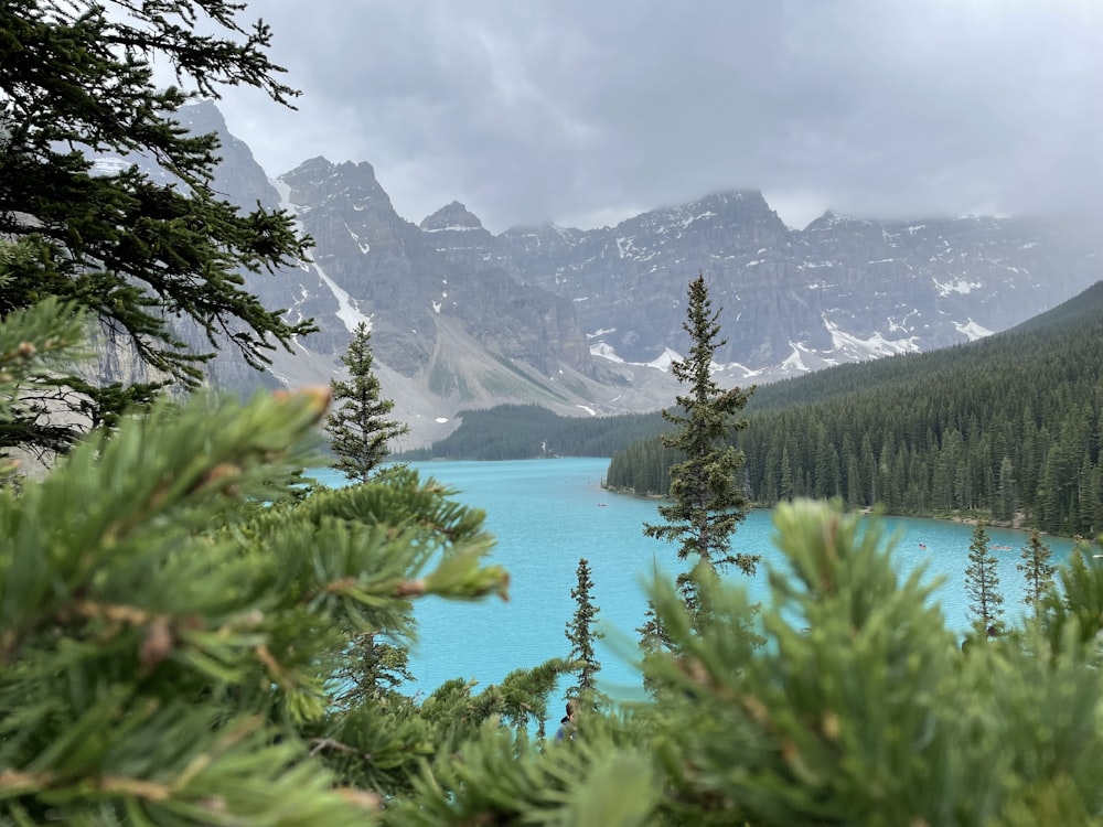a blue lake surrounded by pine trees and mountains