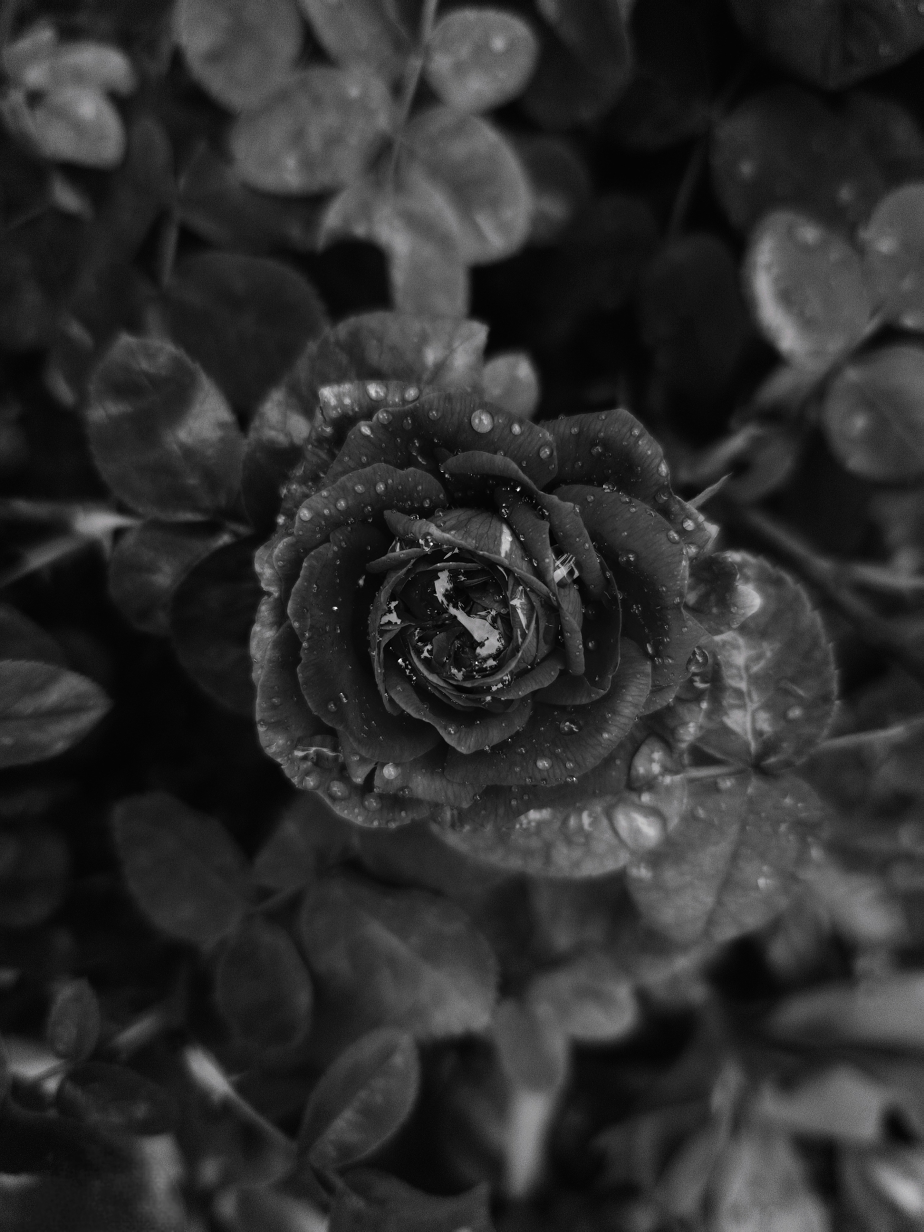 Photo by belmin_26_aljovic