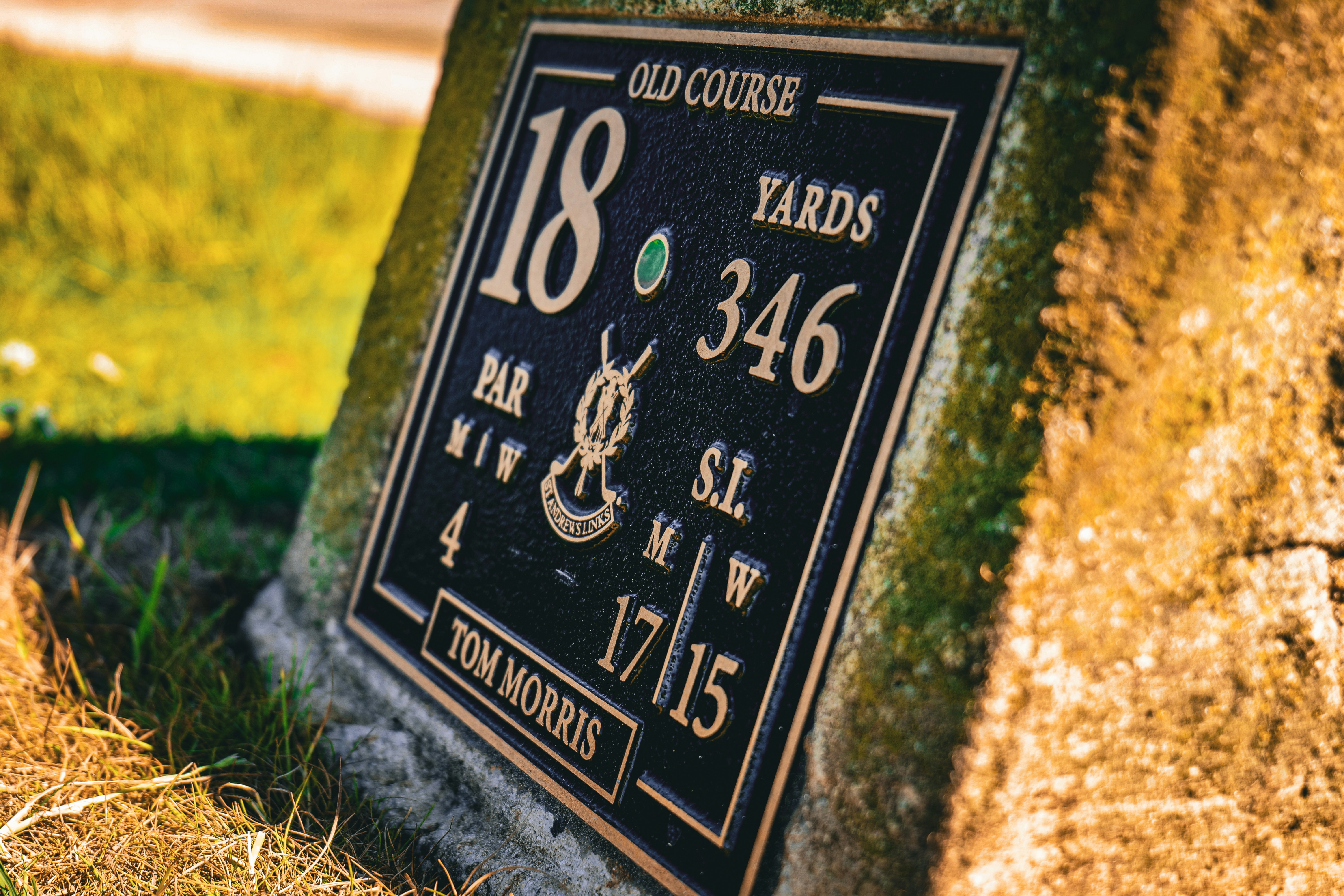 a close up of a plaque on a grass field