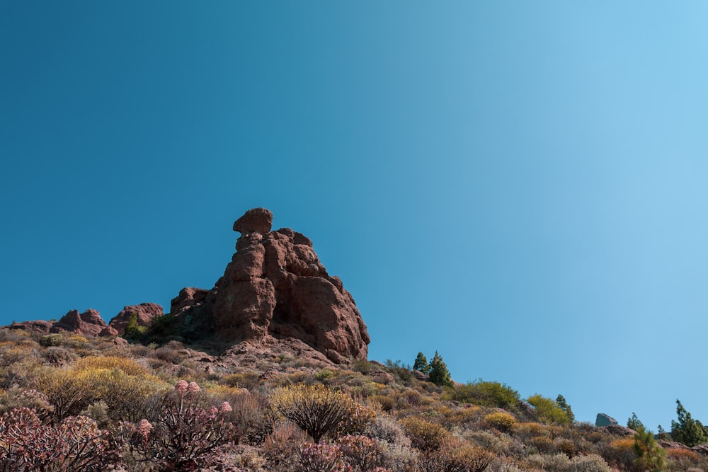 a rock formation in the middle of a desert