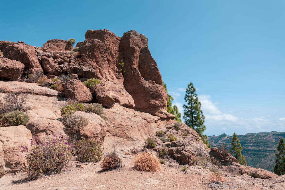 a rocky mountain with a few plants growing out of it