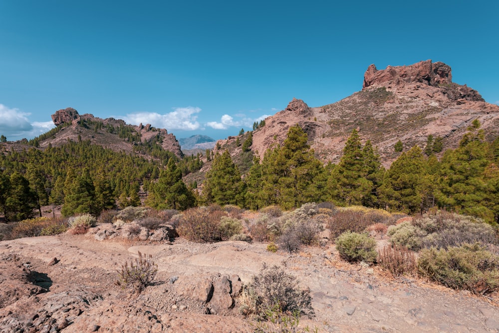 a view of a mountain range with trees and rocks