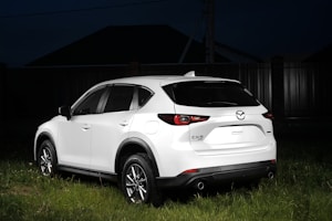 A white SUV is parked on grass in a dimly lit area. The vehicle displays a modern design with a sleek silhouette and shiny alloy wheels. The rear emblem and model name are visible, and the background features a dark fence and building.