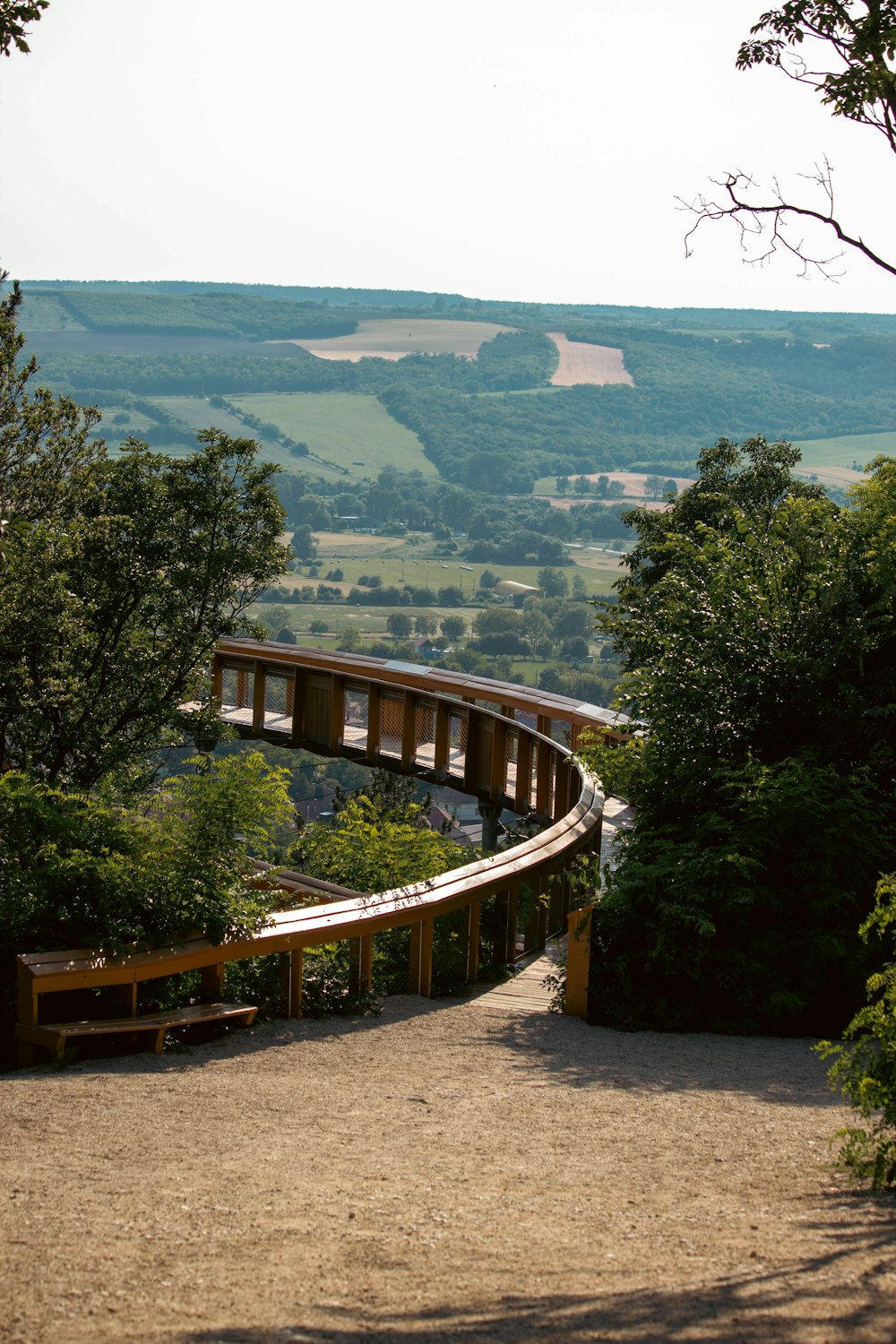 a curved wooden walkway in the middle of a forest