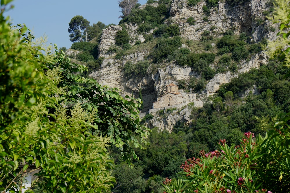 a view of a mountain with trees and bushes