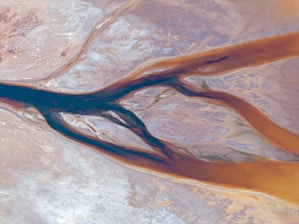 An aerial view of a river with branching tributaries flowing through a desert-like landscape. The tributaries create intricate patterns against the earth-toned background, where shades of brown, orange, and blue dominate.