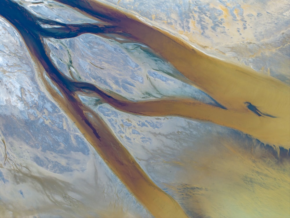 a painting of a tree branch with a blue sky in the background