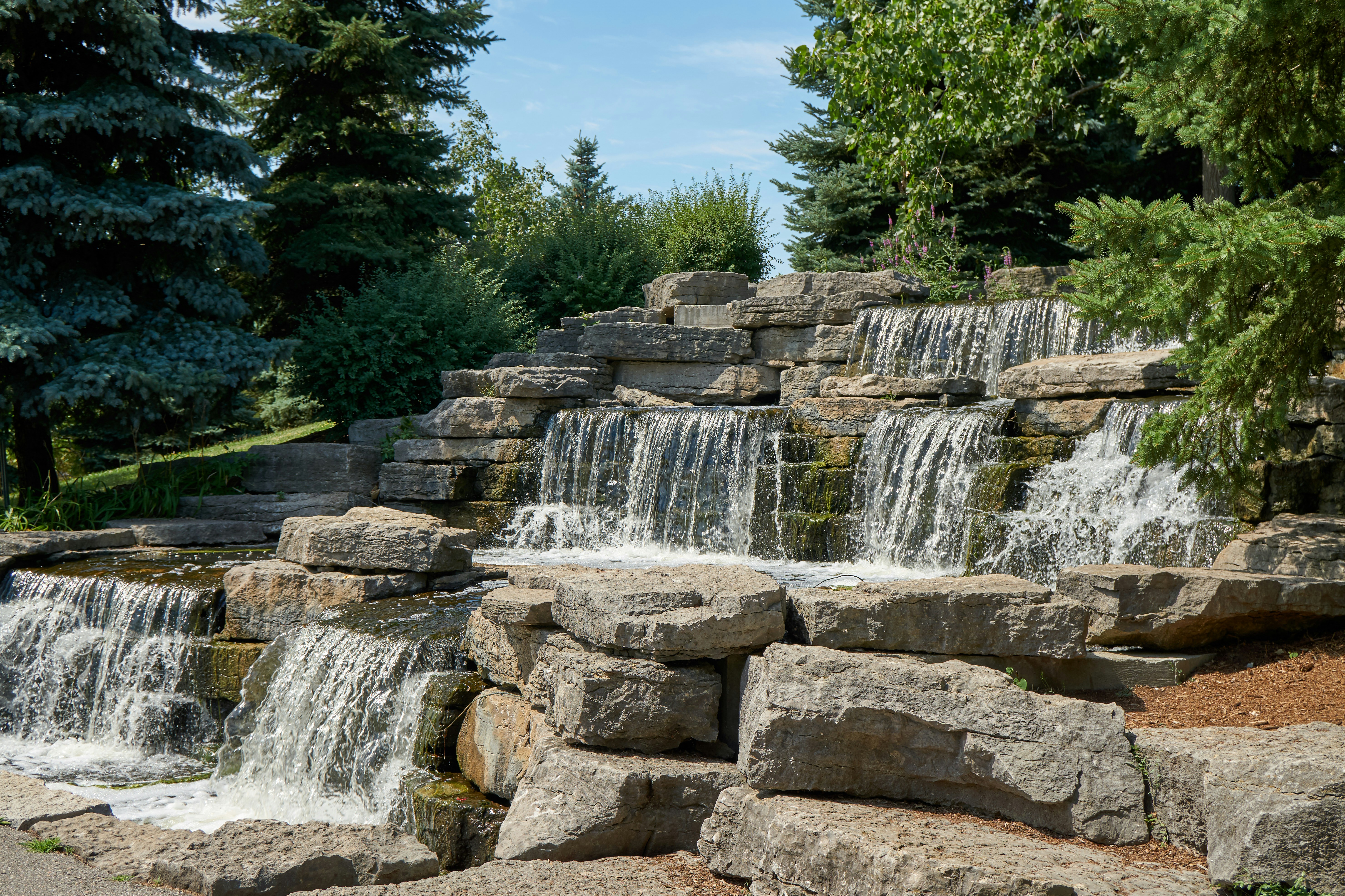 Chapman Park