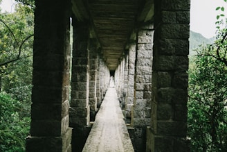 a long walkway between two stone pillars in a forest