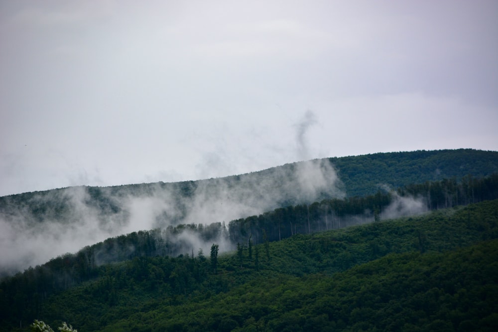 a mountain covered in clouds and trees on a cloudy day